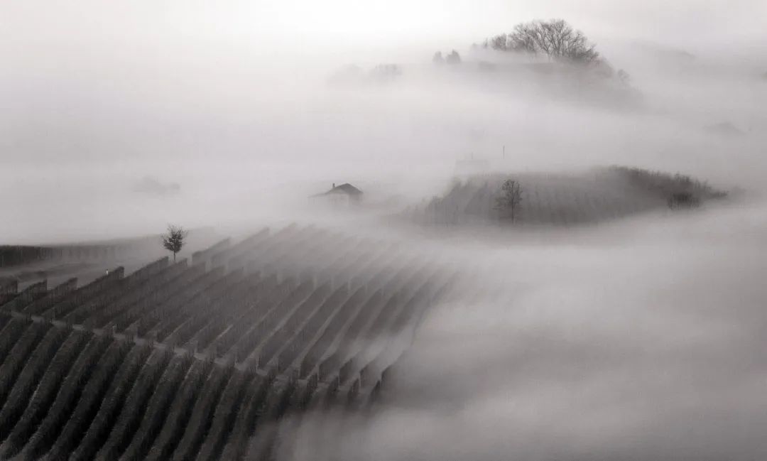一分钟了解罗马教皇,一分钟了解意大利