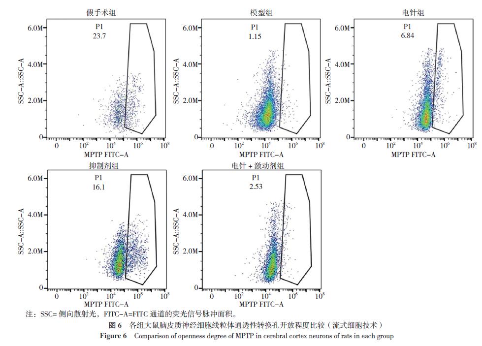 通督调神,通督调神盘龙针