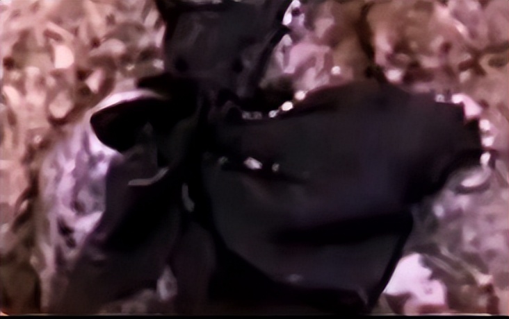 东航mu5735坠机事故遇难者简介,东航mu5735坠机事故有多少人遇难