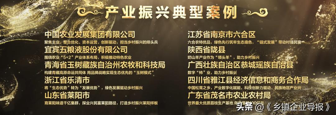 乡村振兴赋能计划人才典型案例,乡村振兴之文化振兴案例