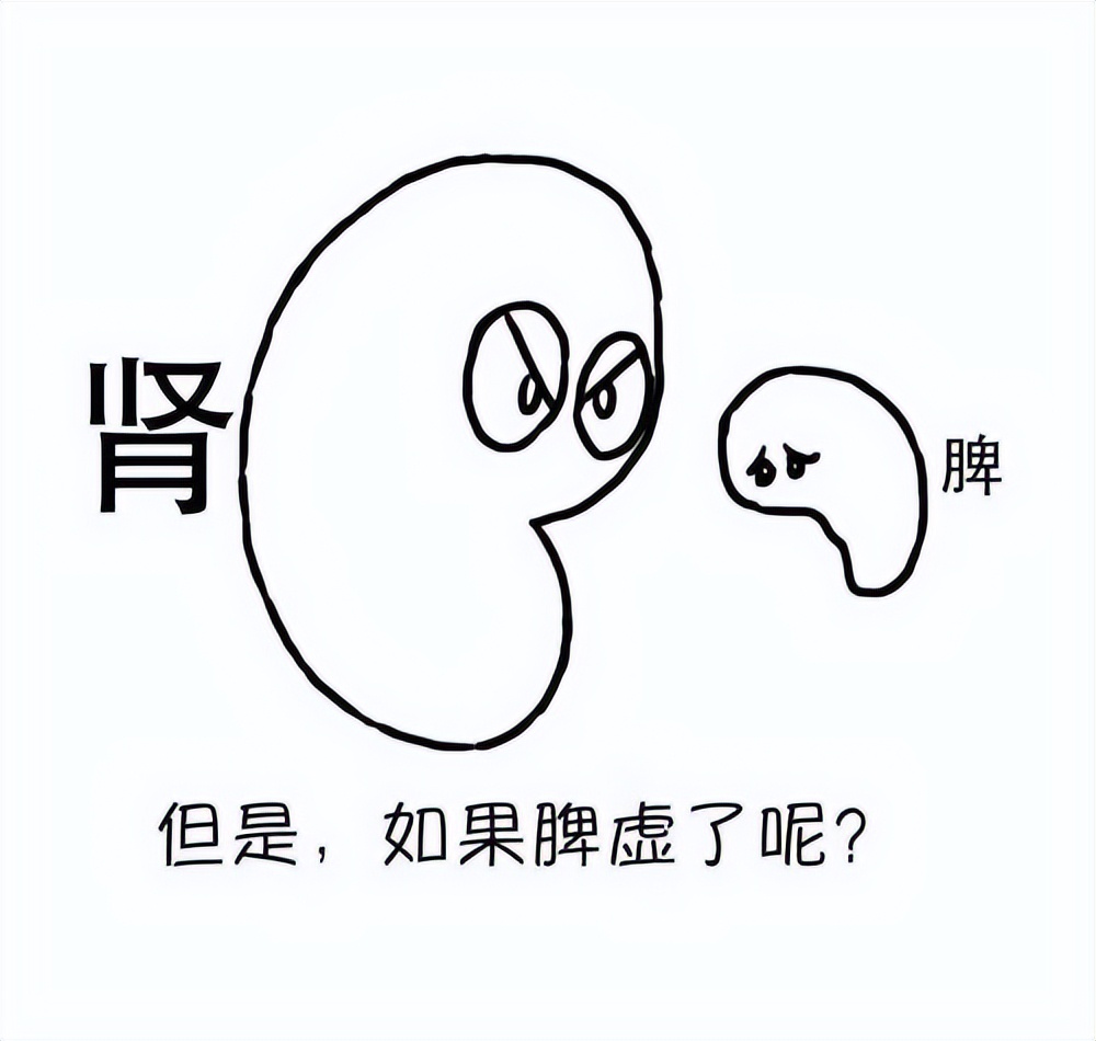 补气补肾补脾的食疗,脾胃不好吃什么补肾又补脾