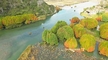 秋天的云南哪里漂亮又美丽,有一种美叫云南的秋天美景