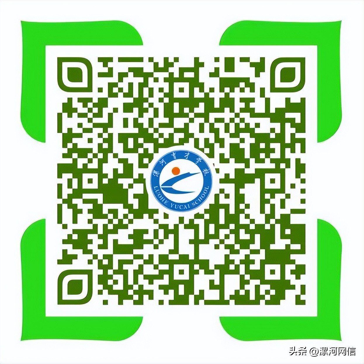 漯河最新教育局通知,漯河一学校最新通知