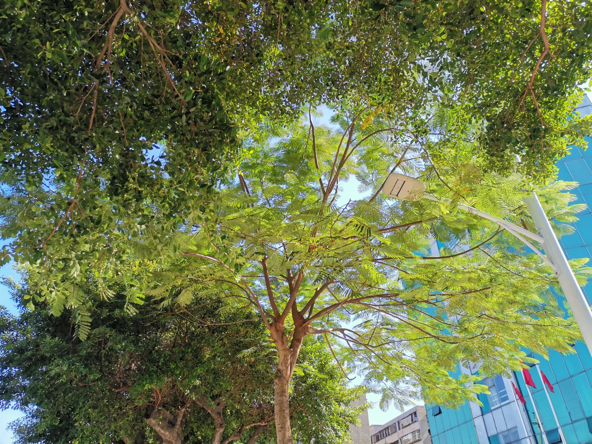 英语单词高频形容词,含dis否定前缀的单词