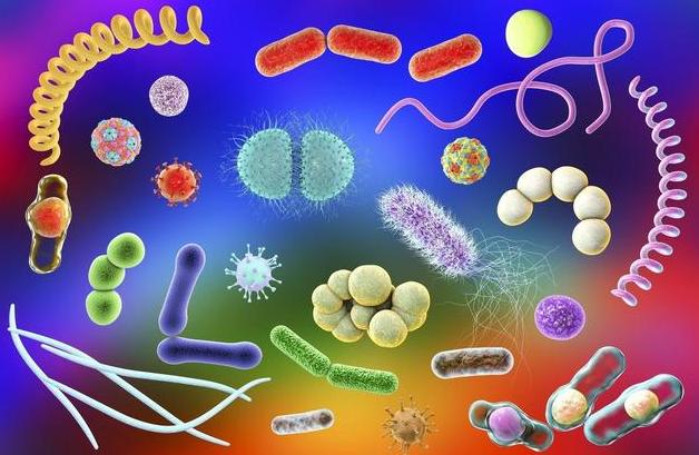 呼吸道感染阿奇霉素和头孢哪个好,呼吸道感染用阿莫西林管用吗