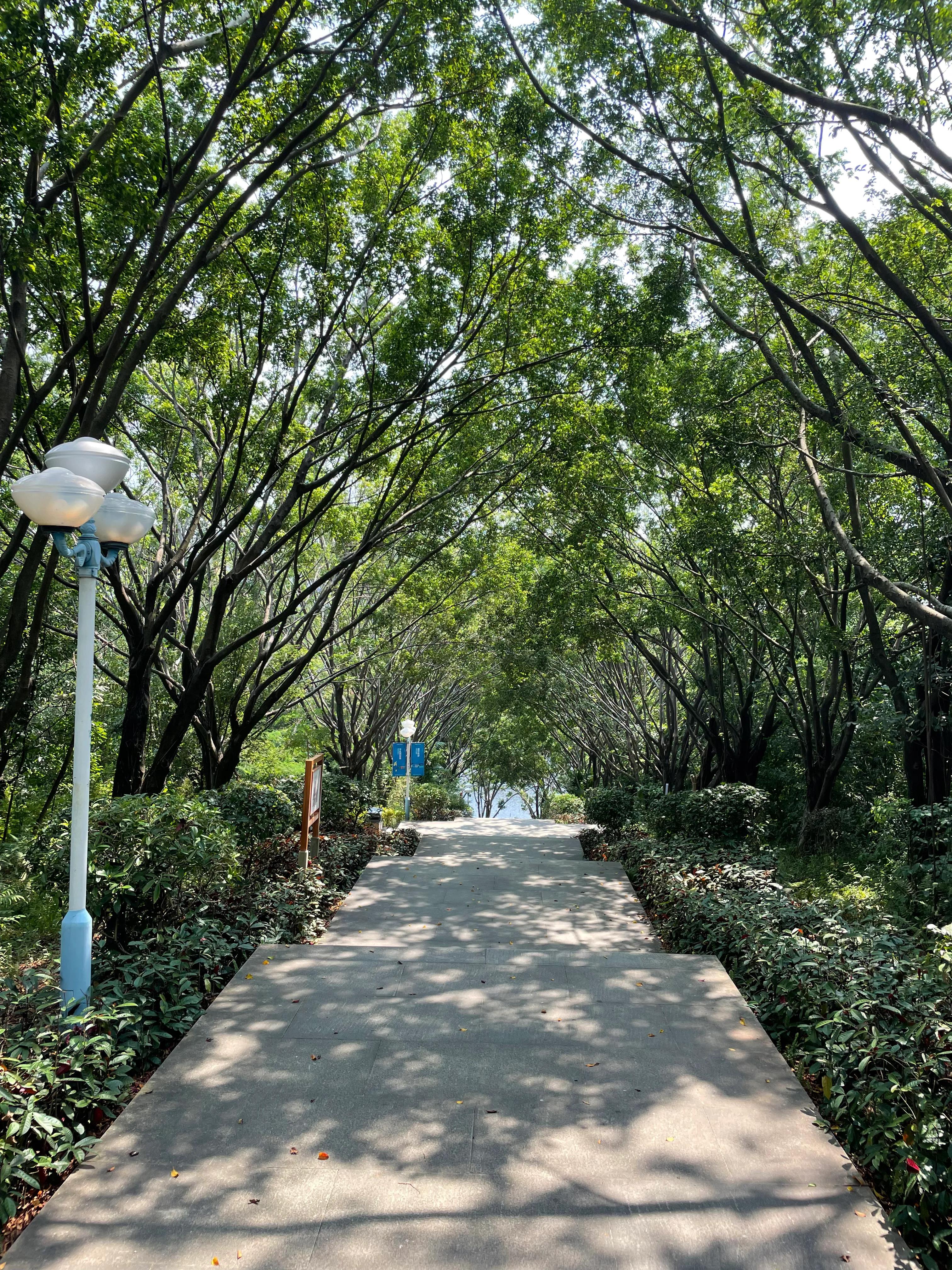 龙岗五联郊野公园,深圳市龙岗区双龙公园