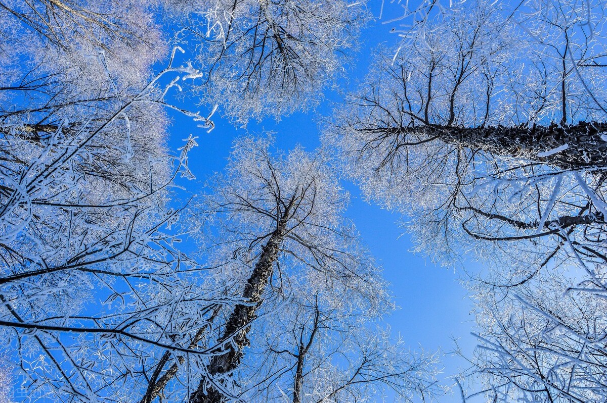 年底要账怎么要,年底要不回账怎么办
