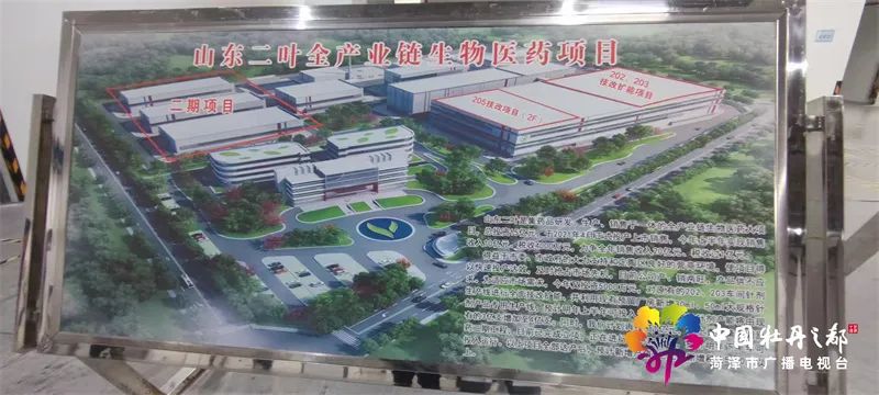 主要领导实地考察项目建设,县委书记带队观摩项目建设