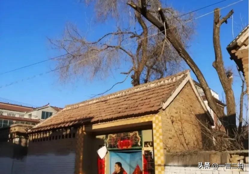 许家印：干过保安掏过粪，一朝发迹后风光无限，如今让人唏嘘