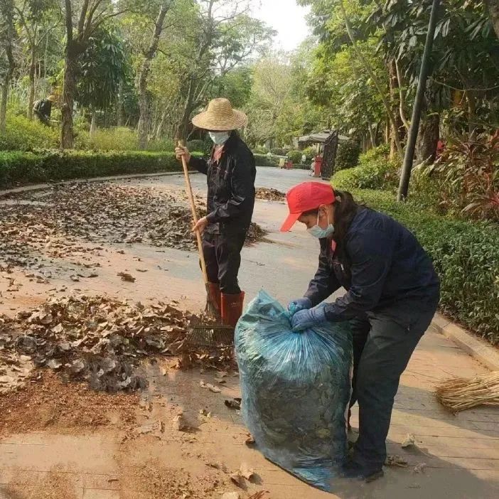 远洋物业青岛,远洋物业简介
