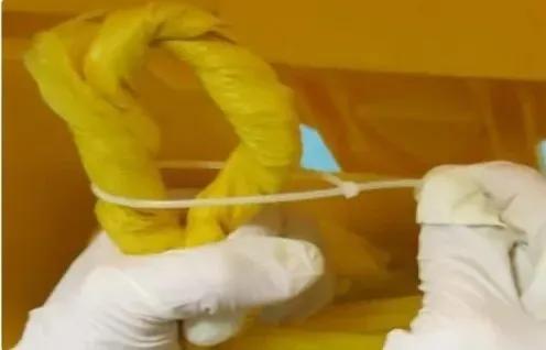 发现羊了家里怎么消毒,羊了之后家里怎么日常消毒