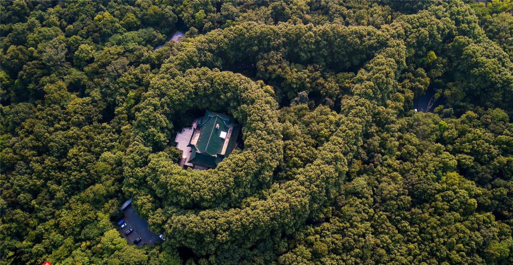 南京情侣美食打卡景点,南京打卡景点推荐