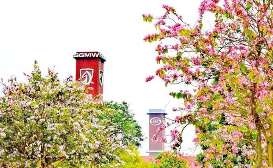 五菱汽车好还是宝骏汽车好,五菱新宝骏销量怎么样