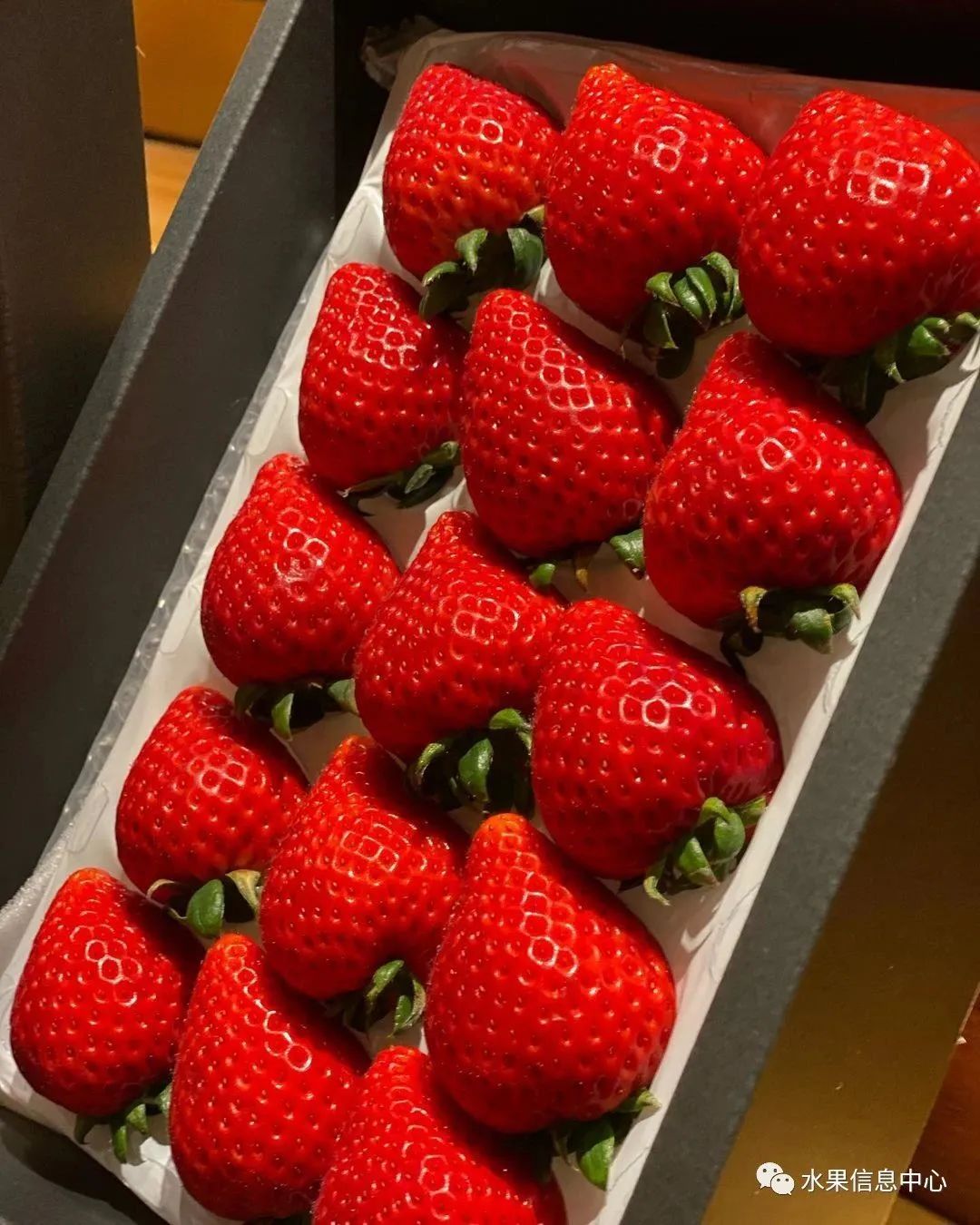 日本草莓评选大赛,排名第一的草莓品种是什么?