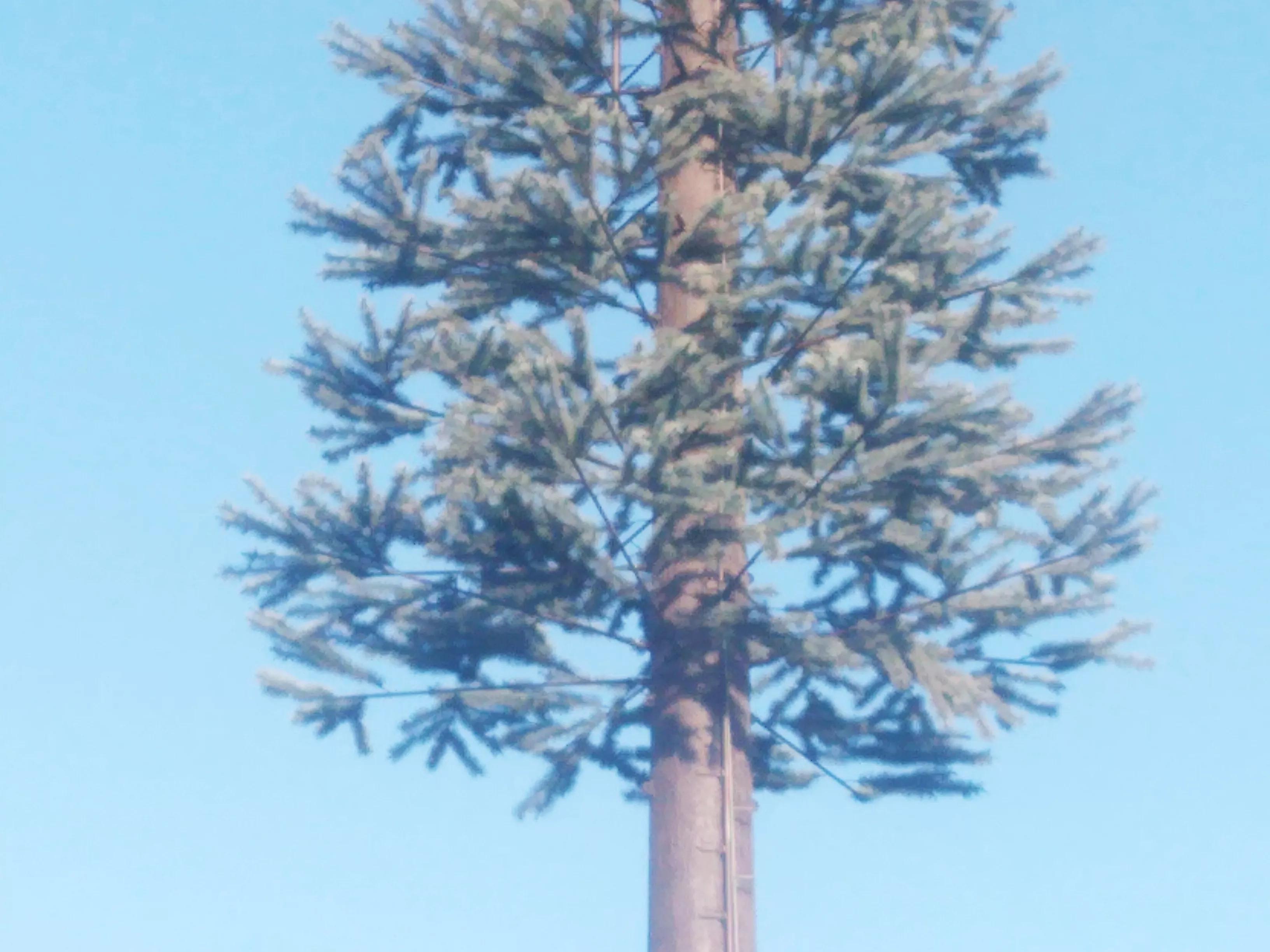 郑州惠济区的花漫里开放了吗,漫花里花卉博览园现在还开放吗