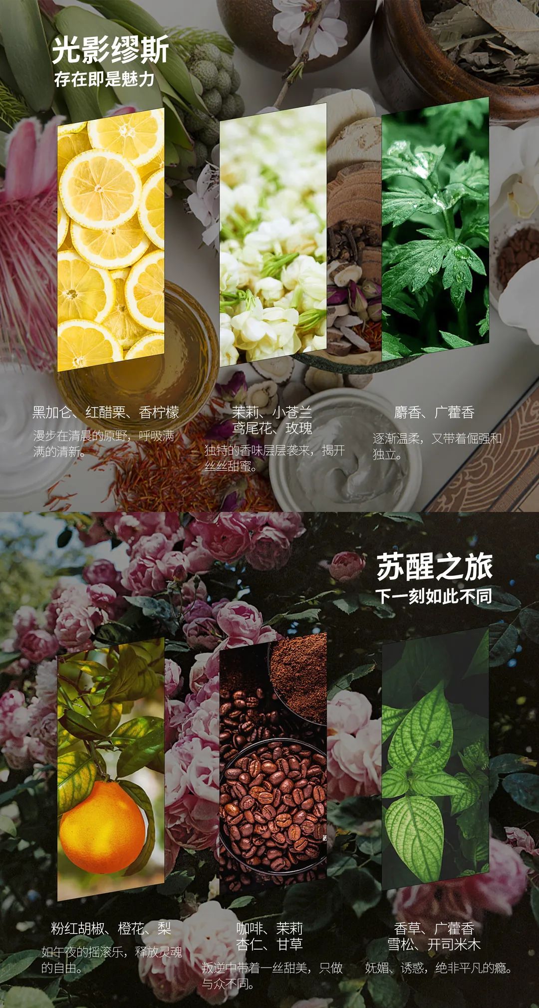 内衣去尿渍洗涤液是骗人的吗,内衣杀菌洗涤剂