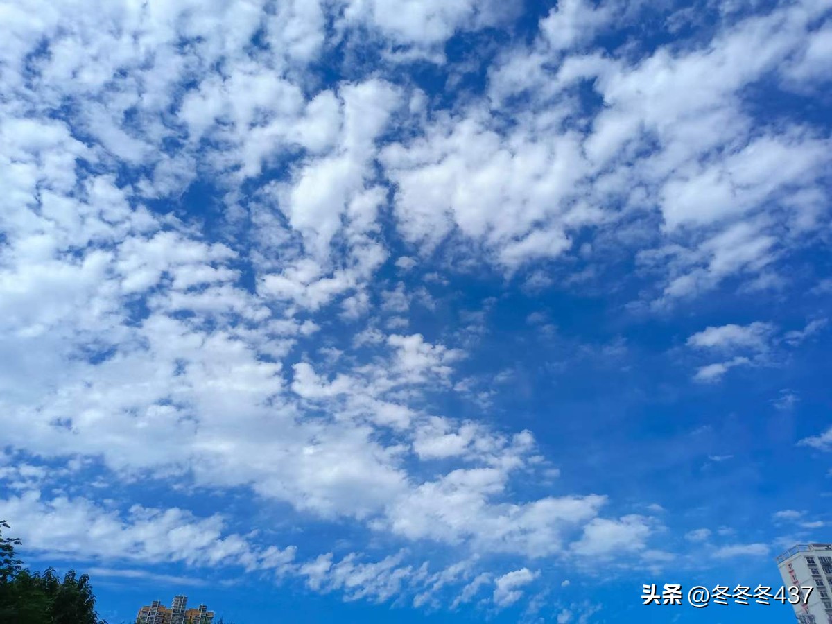 保定限价房如何变商品房,保定限价房最新通知