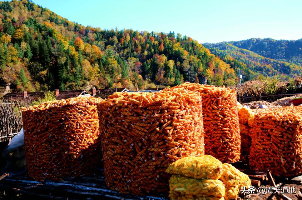 广东有直达火车吗,广东有高铁直达三江吗
