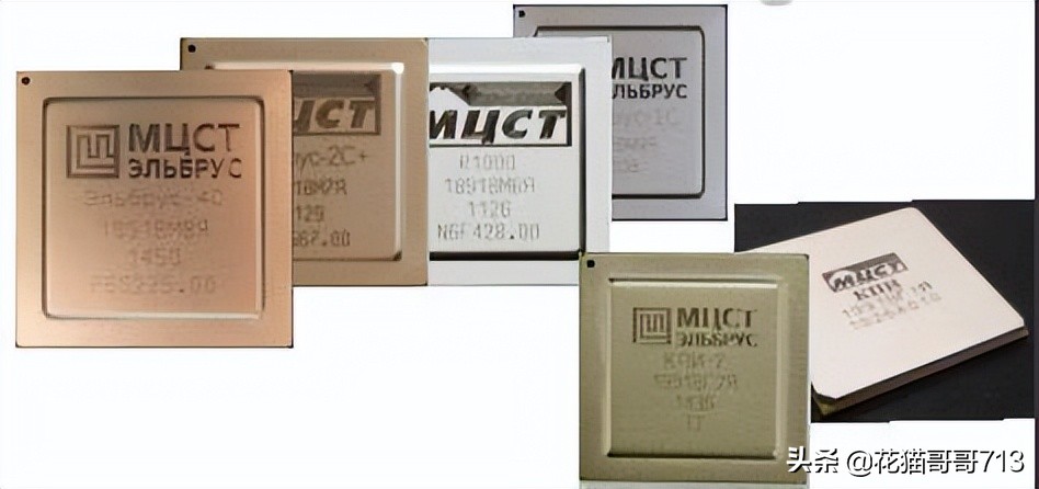 猫哥俄罗斯,猫哥在俄罗斯最新视频