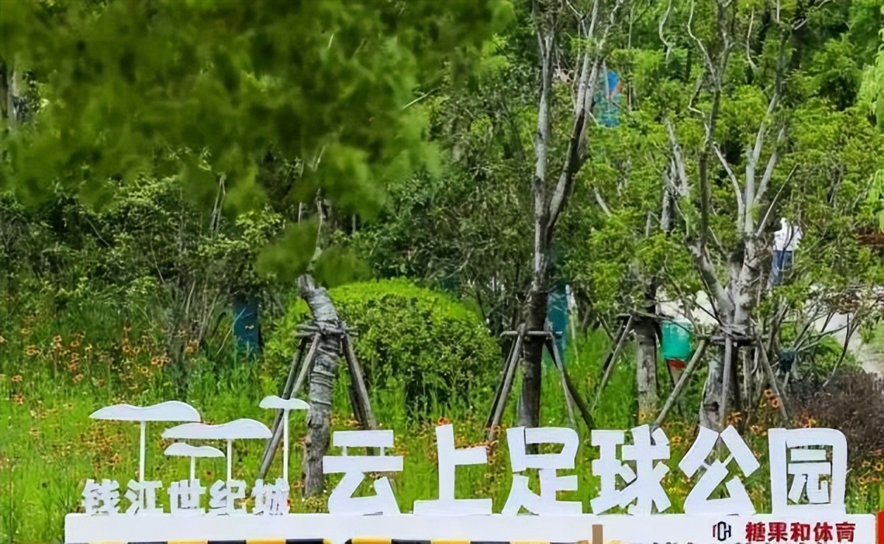 “挤”出来嵌入式球场，萧山人的足球梦