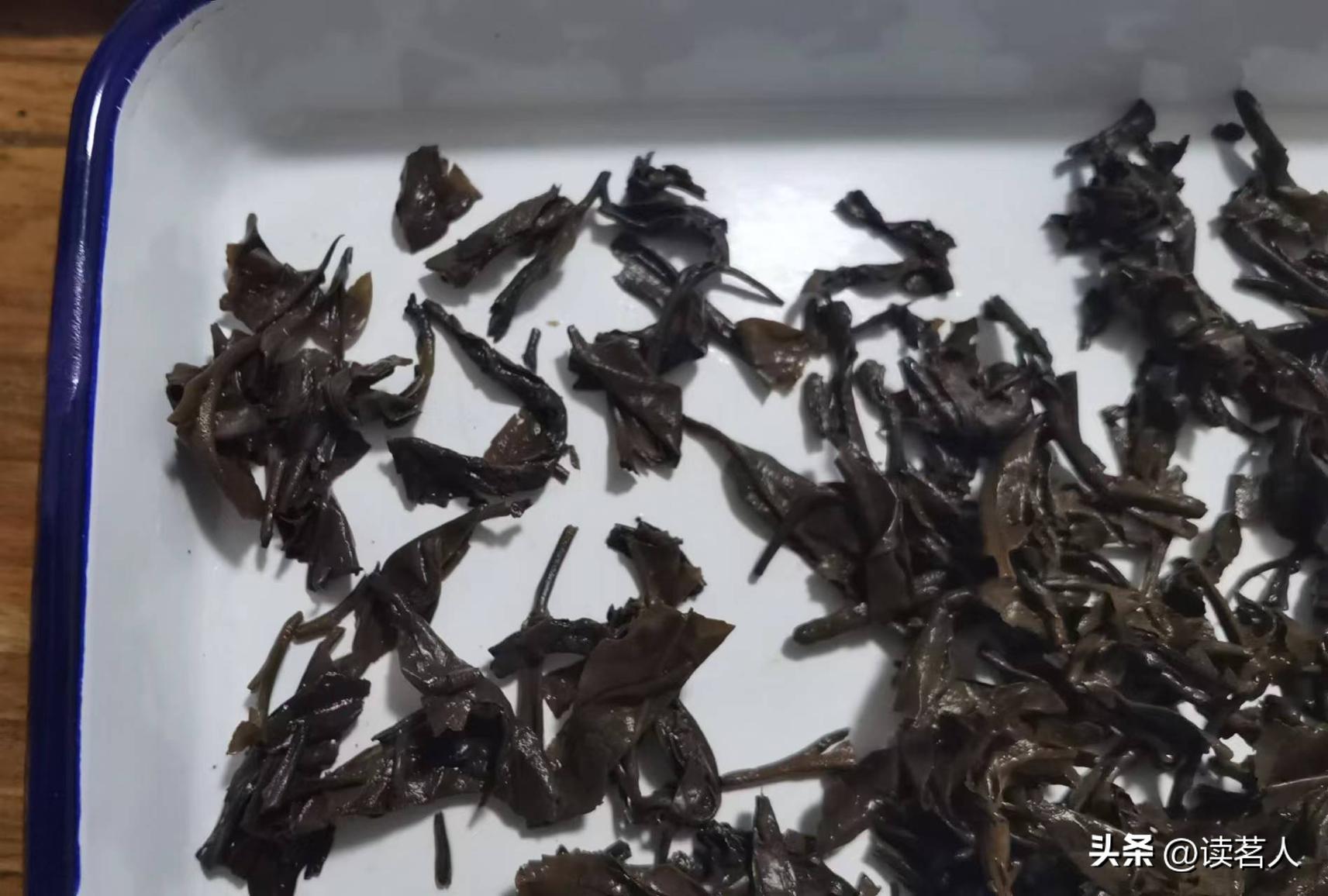 寻味云南普洱,寻味普洱生茶