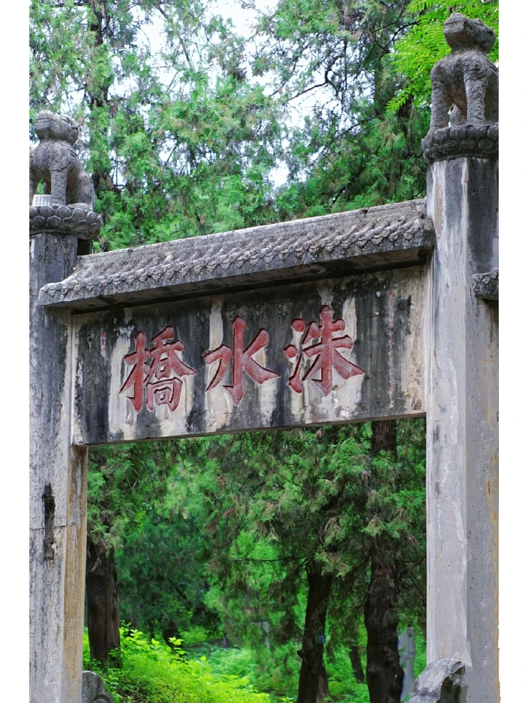 五一游玩推荐——孔子故里，朝拜圣地！三孔景区旅游攻略！