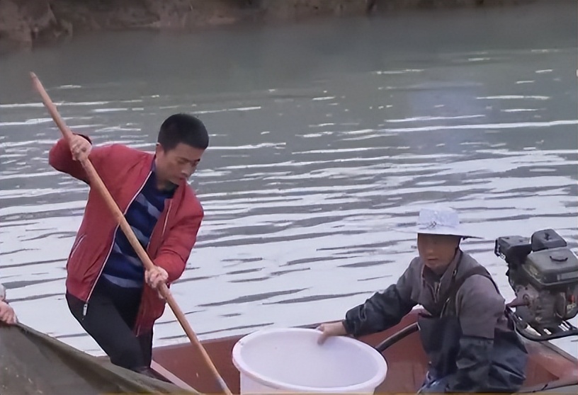 一斤鱼卖多少,一斤鱼30元买了40斤是多少钱