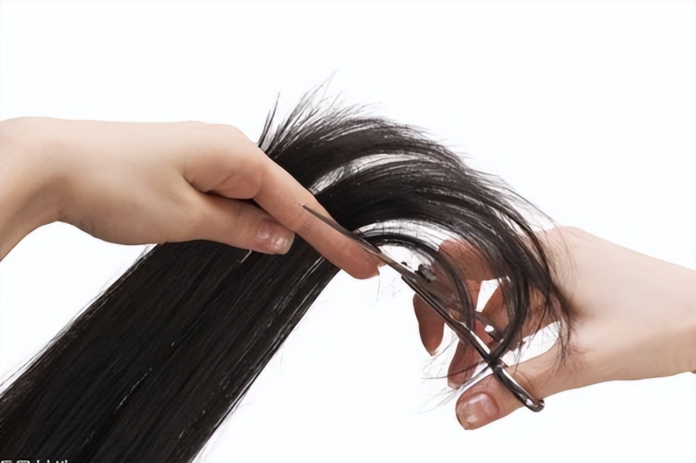 关于头发冷知识大全,头发的冷知识分享