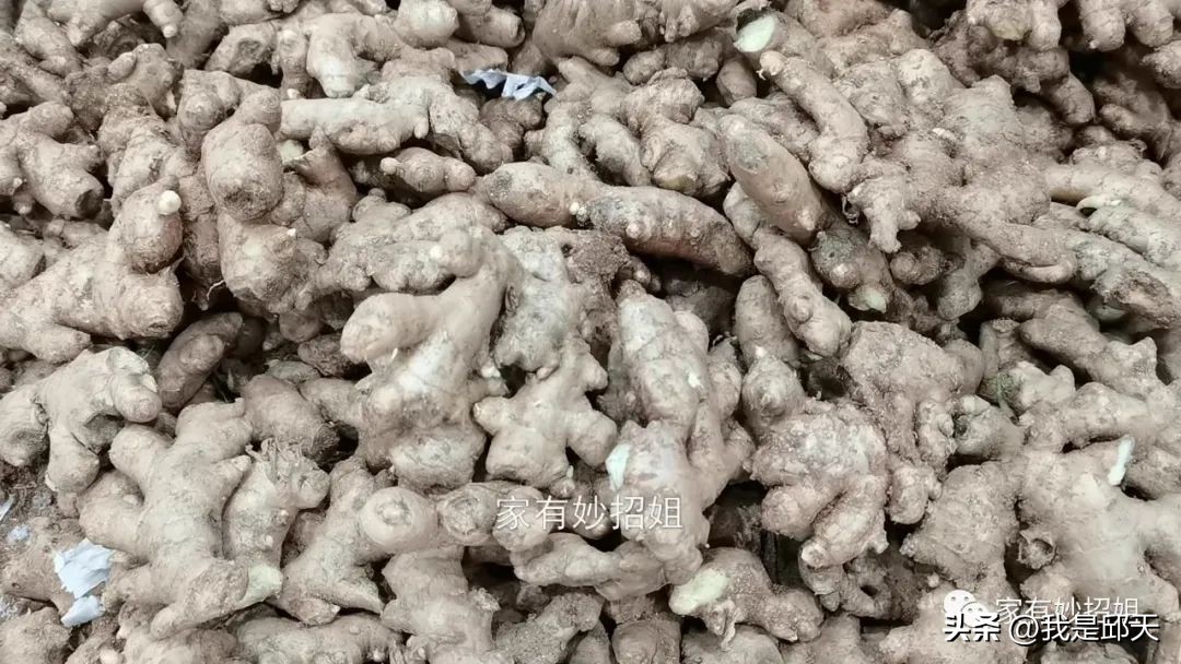 买生姜时你一般是哪种习惯,买生姜该怎么选