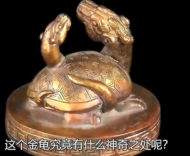 大爷祖传金龟后续上交国家了吗,大爷带金龟来鉴宝专家让上交