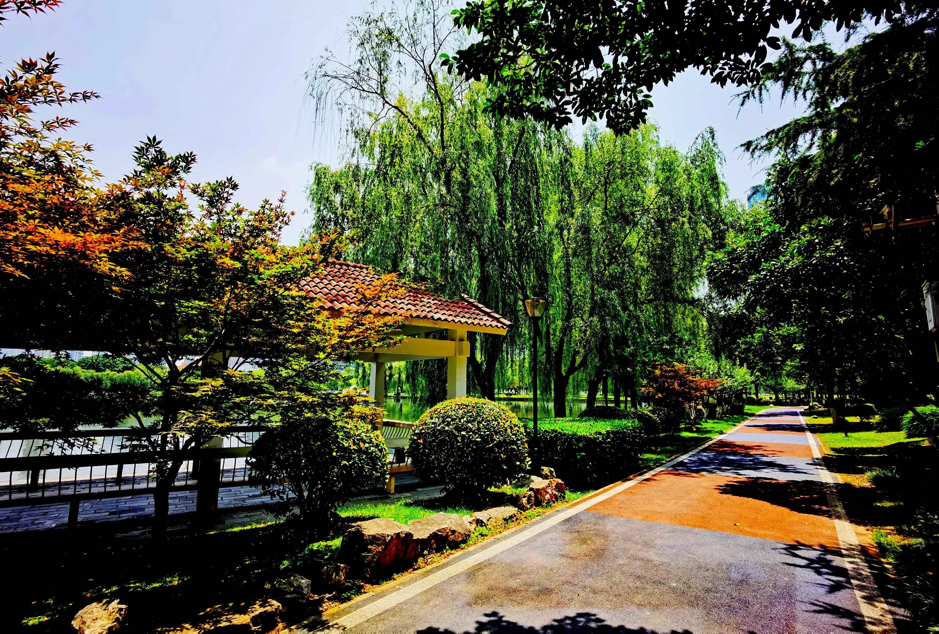 武汉四美塘公园开园了吗,四美塘公园和武昌生态文化长廊