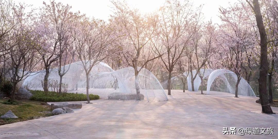 樱花树下的约定字体设计,樱花树下的约定完美国度