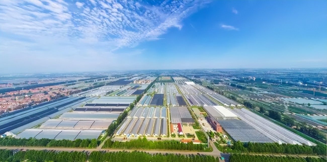 为什么山东潍坊汽车便宜,潍坊为什么叫鸢城