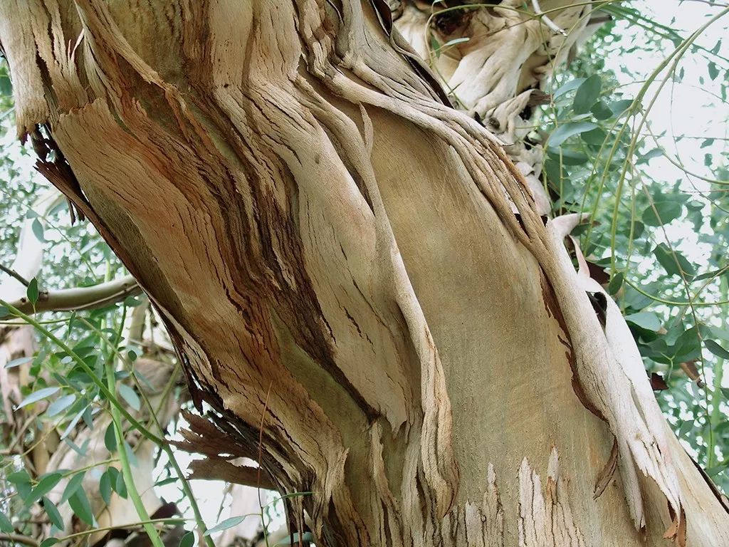 北仑疫情还回得了家吗,北仑疫情出不去了么