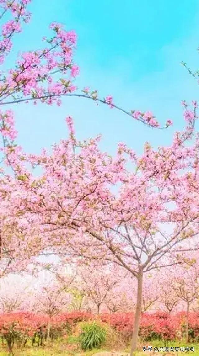 七律叹人生平水韵,七律平水一韵的诗