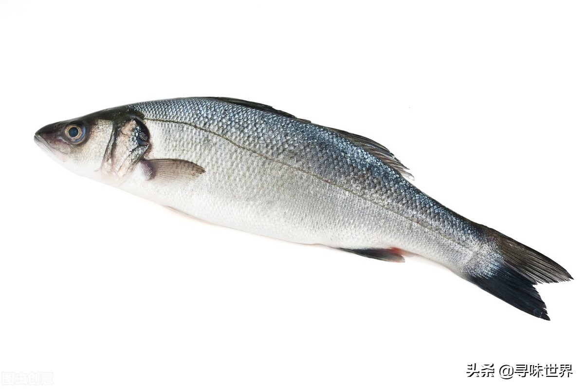 常见海鱼的品种大全及名字,海鱼的品种大全介绍