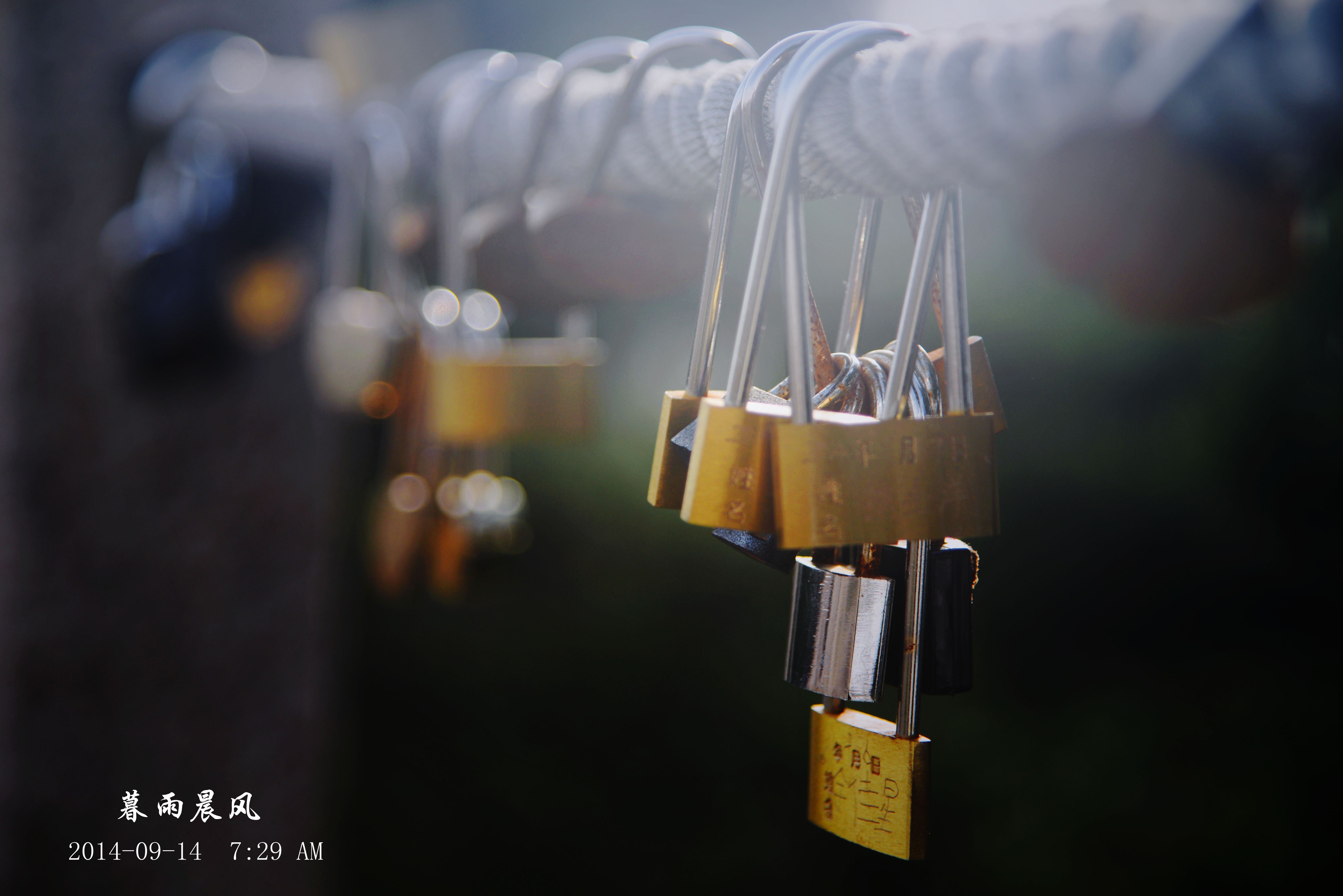 2014年黄山游,2014黄山银毫