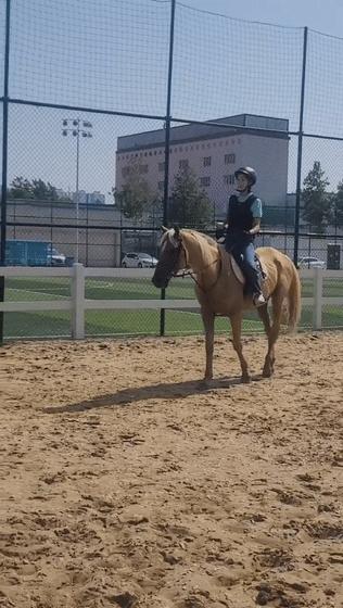 体育公园新梦想,体育公园运动新空间