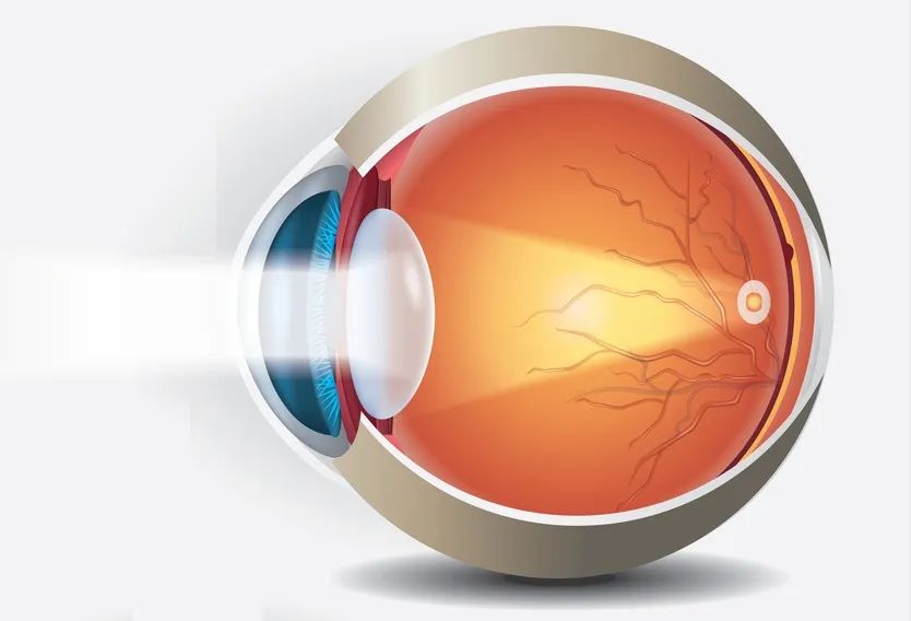 视力下降要如何治疗呢,什么药物可以导致视力下降