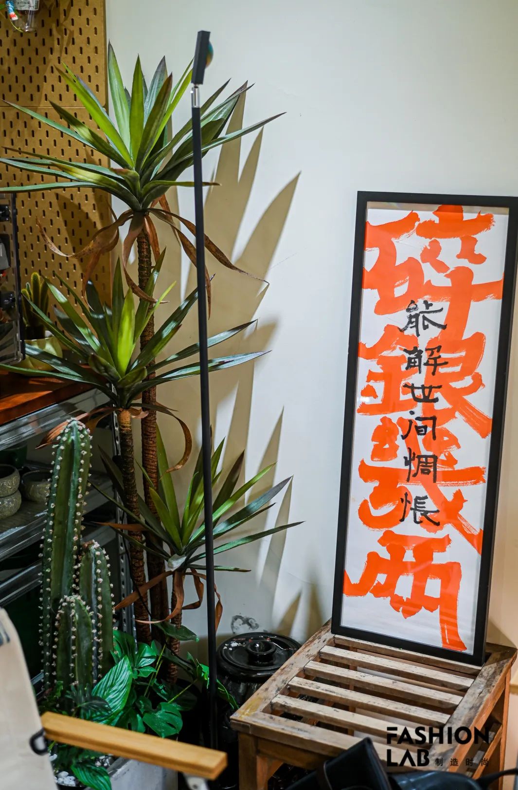 想学钓鱼新手需要买什么,新手学钓鱼最快的方法