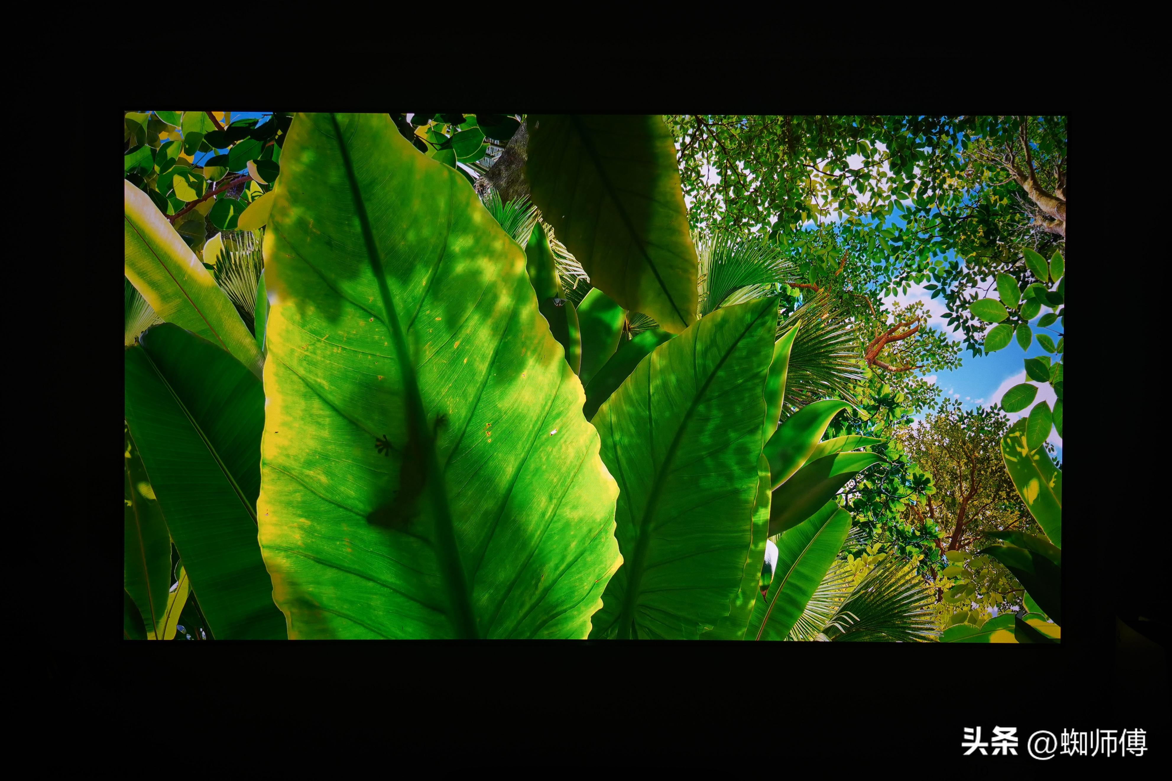 大屏幕护眼电视,海信激光电视80d9h80英寸测评