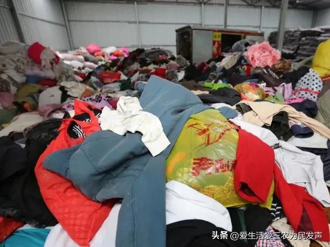 10个农业致富项目据说很靠谱,农业种植致富项目有什么