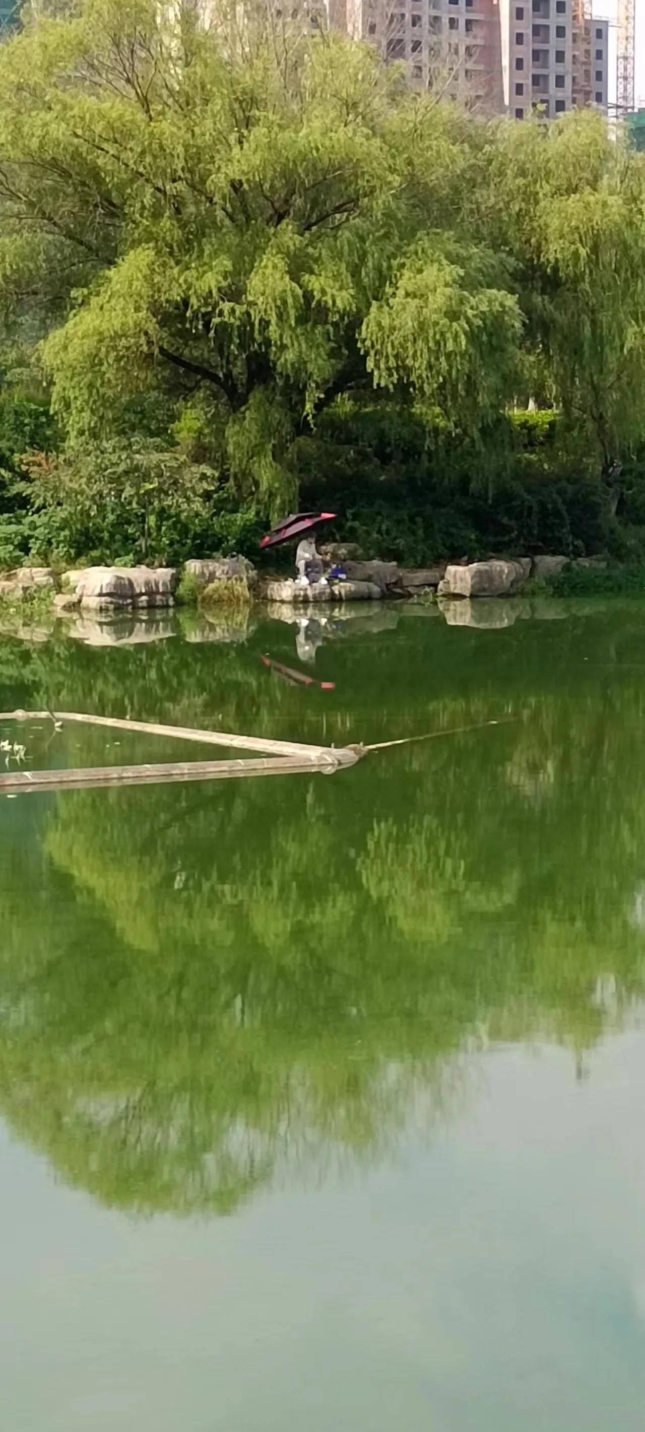 妤氭渤椋庢櫙,妤氭渤鏅壊