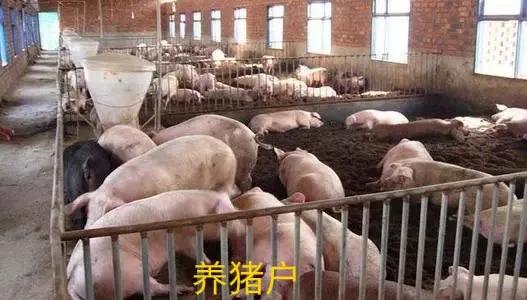 齐齐哈尔我的家乡,美丽的家乡黑龙江齐齐哈尔