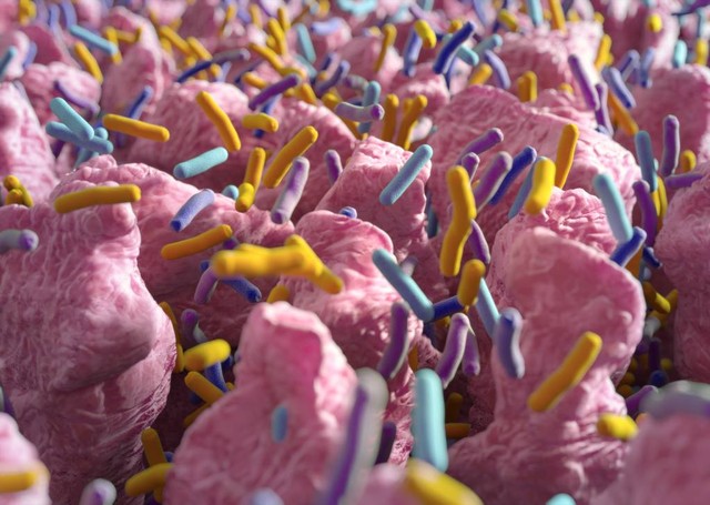 中国新创的治糖尿病新药,我国在治疗糖尿病中获重要进展