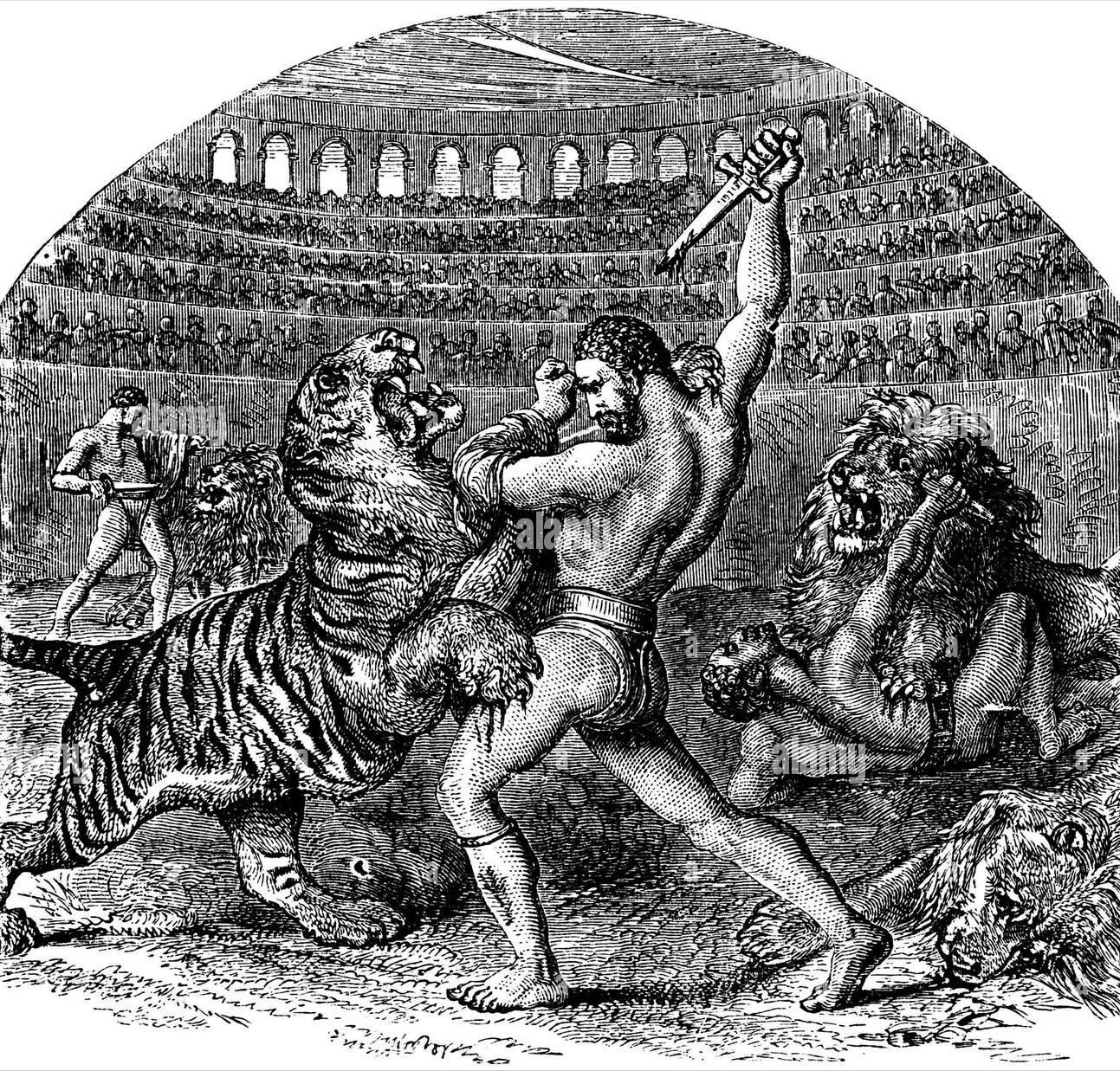 东北虎对比巴巴里狮子哪个体型大,巴巴里狮单挑时能碾压东北虎吗