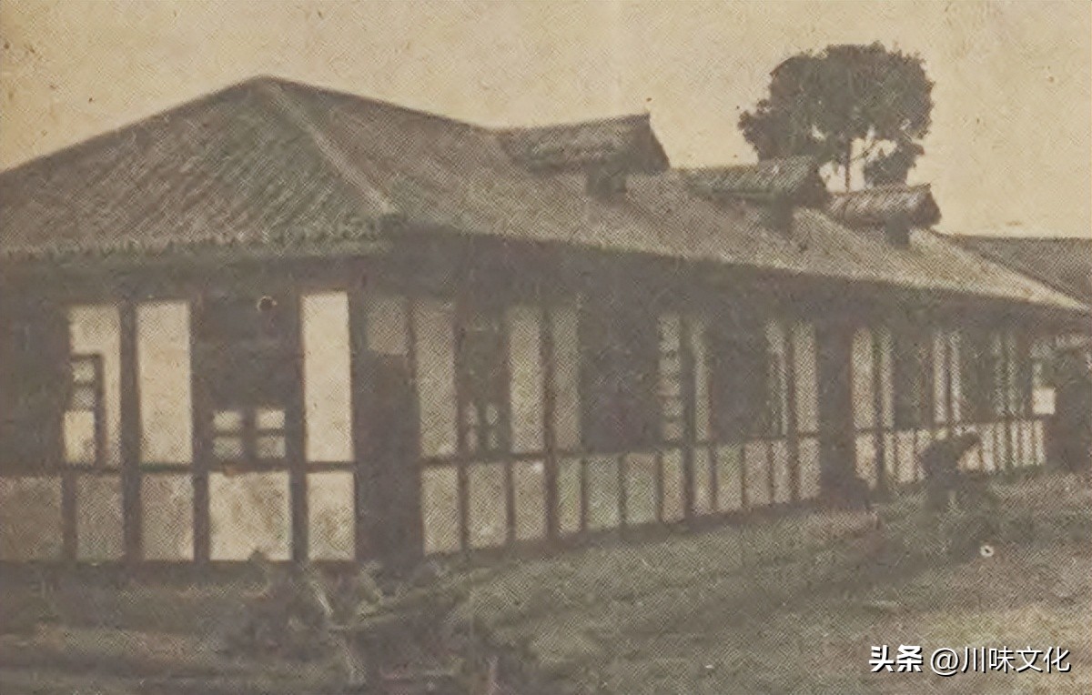 川猪变种记（中）转折