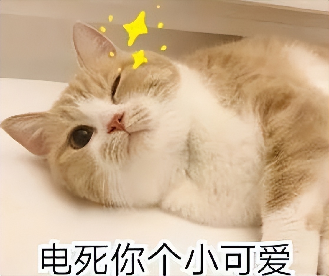 为什么猫咪爱吃电线,猫咪爱咬人手怎么办特别狠