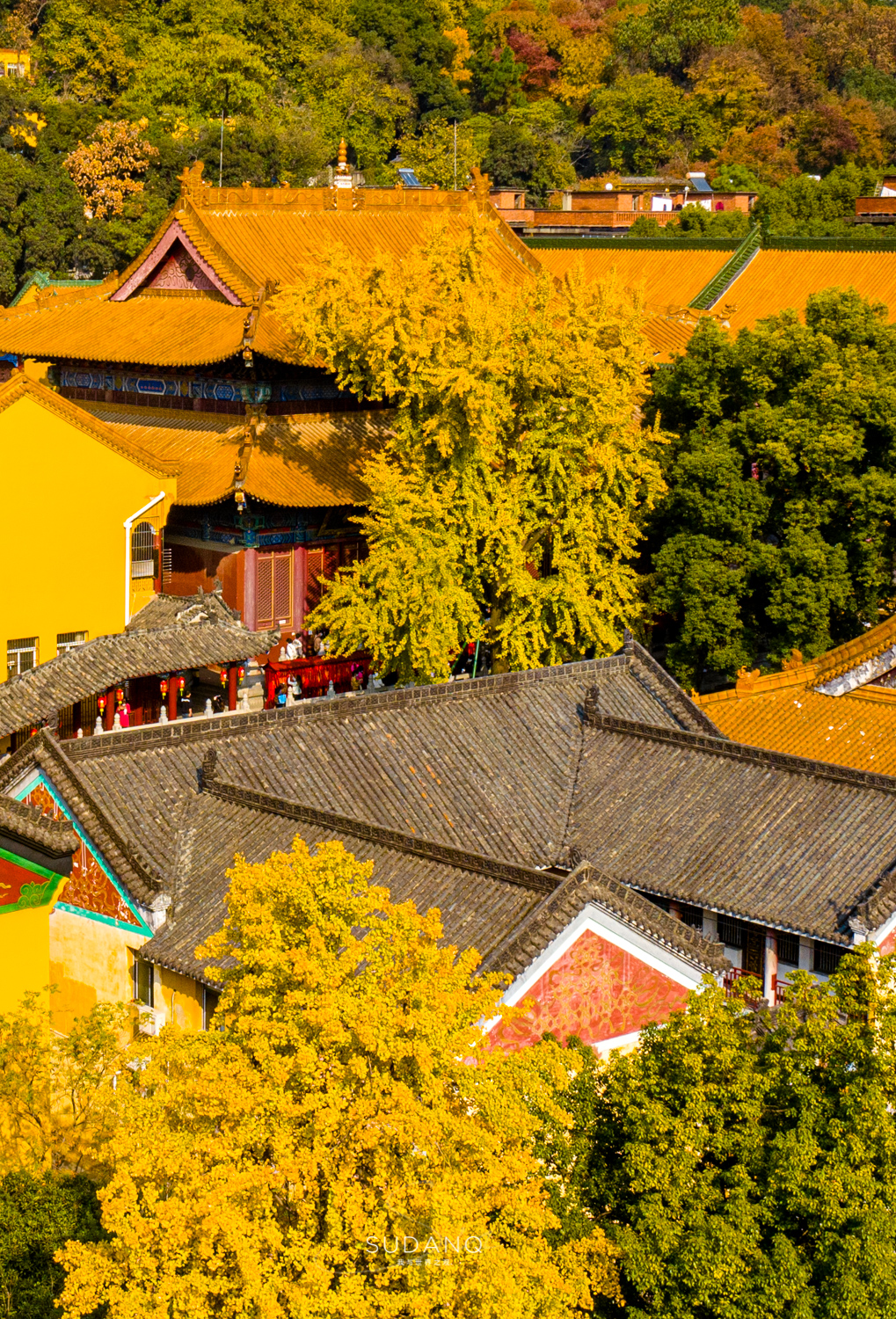 大自然塑造了我,大自然塑造者