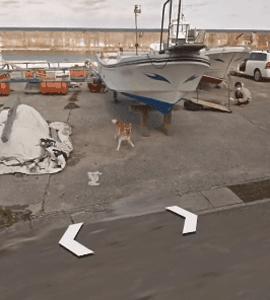 谷歌地图六条腿的狗,谷歌地图上发现的狗